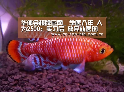 华体会棋牌官网_
学医八年 人为2500:实习后 放弃从医的医学生们(图1) 华体会棋牌